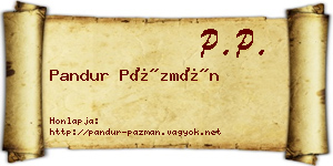 Pandur Pázmán névjegykártya